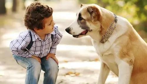 2-3岁宝宝爱打人,暴躁孩子打人