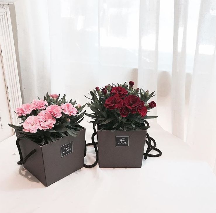 教师节康乃馨简单快速包花,教师节礼物手工制作康乃馨