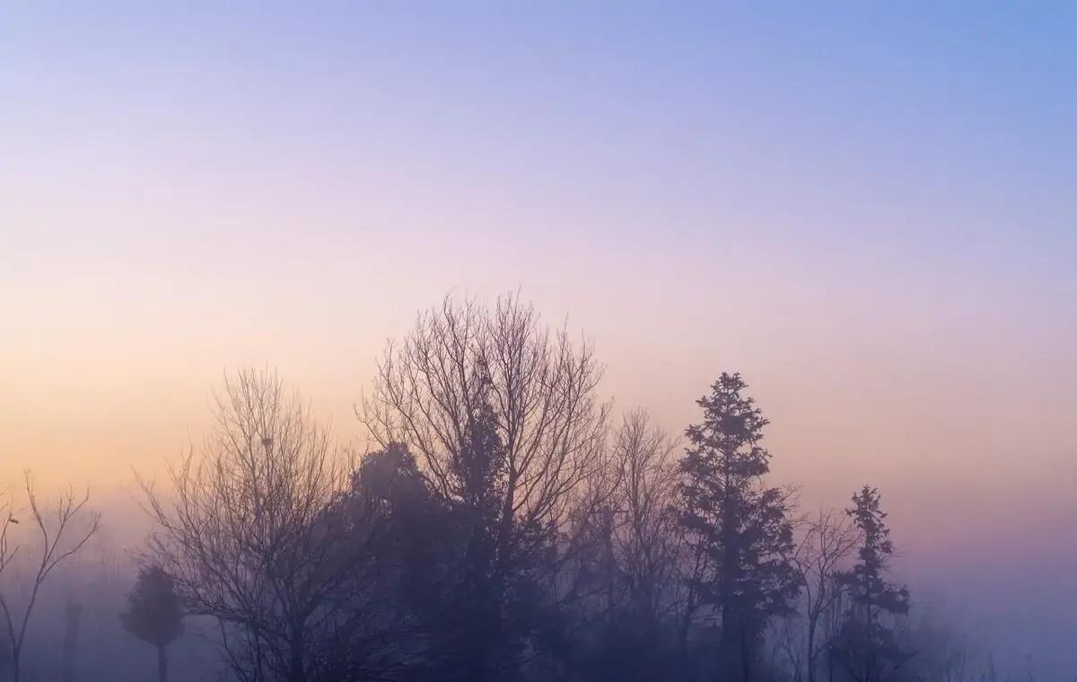 酒后沉默的人城府极深,有城府的人都沉默