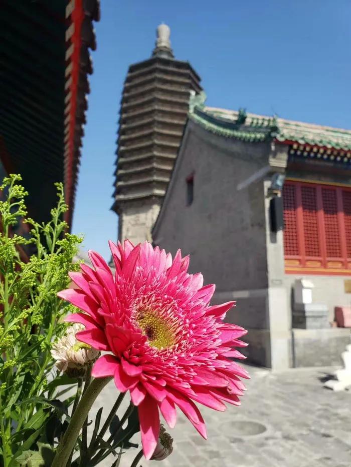 天宁寺古老的寺院,天宁寺北京最古老的寺院之一