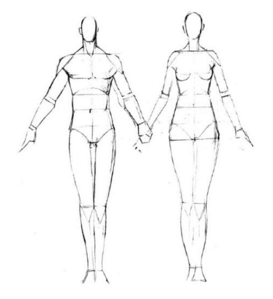 人体板绘入门基础知识,新手板绘自学入门教程