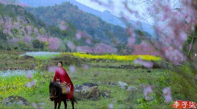 李子柒的鲜花视频,李子柒鲜花宴视频