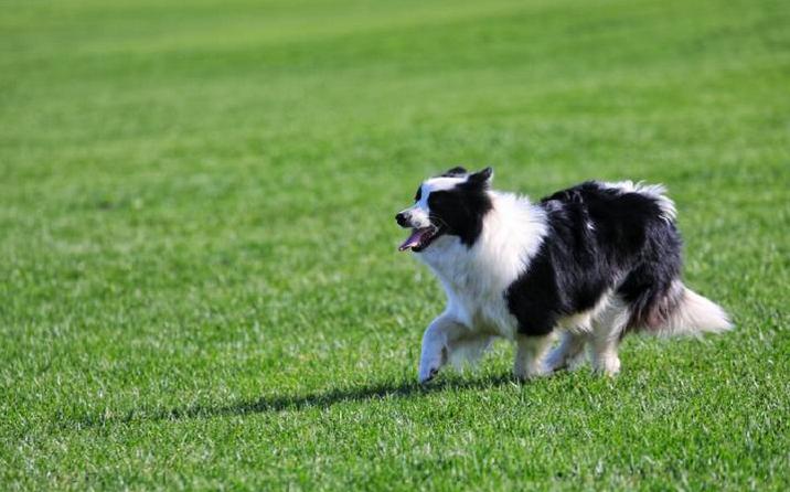 超长记录亲子牧场一日游,暑期草原亲子游攻略