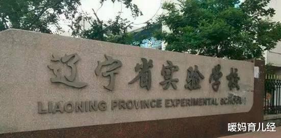 沈阳市的这几所小学，在沈阳市的公认最佳的几所小学