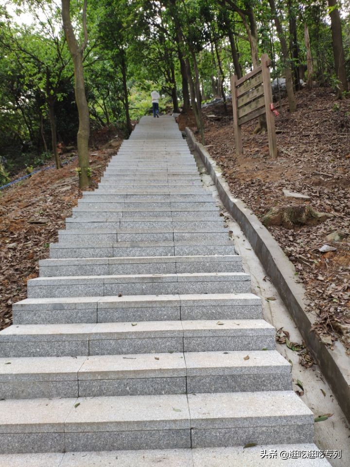 广州火炉山从哪个门口进去最好玩,广州火炉山值得去吗