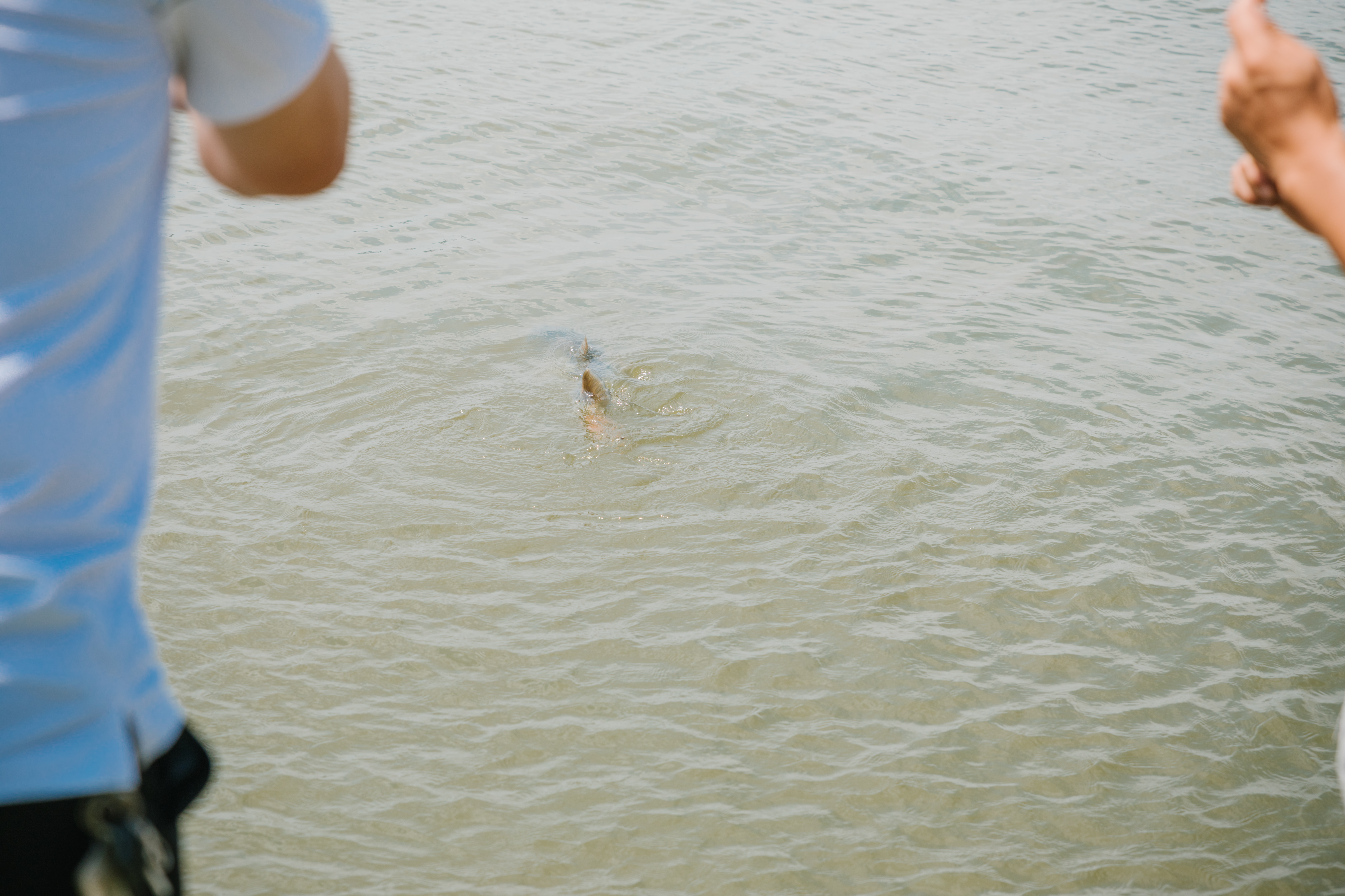 南昌之星摩天轮讲解,南昌之星摩天轮下面有什么玩