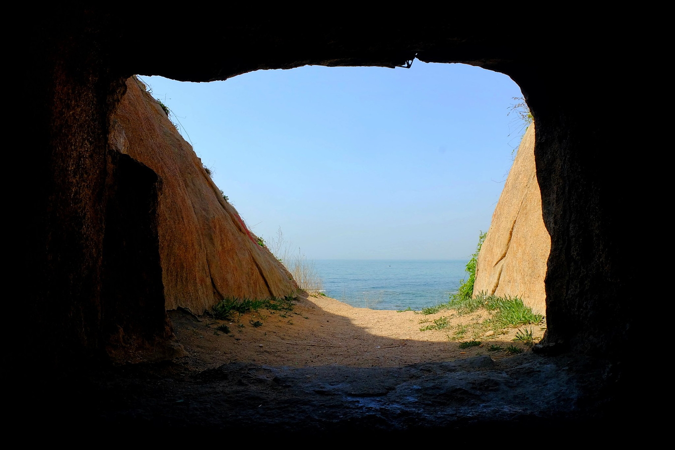 骆驼青岛,骆驼旅行在路上