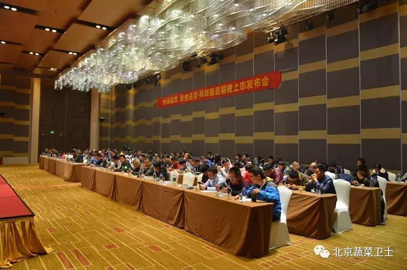 拜耳消杀白粉虱,拜耳治白粉虱特效药