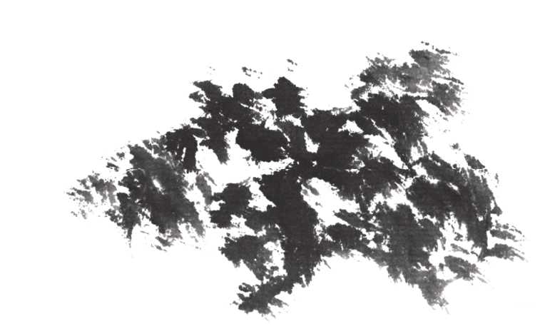 树画简单初学者教程,树画不好看了怎么改