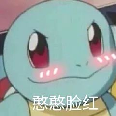 比熊这朵棉花糖，圆圆白白胖胖，是我的初恋情狗没错了