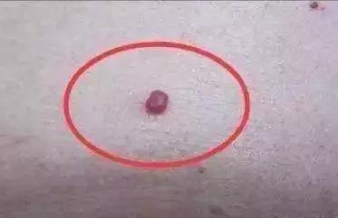 omg这也太厉害了吧,omg真有这么好的事吗