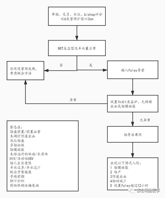 促宫颈成熟,引产促宫颈成熟方法是什么