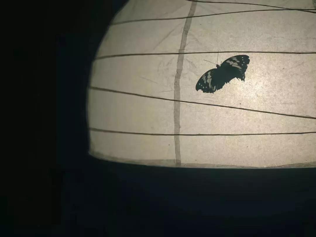 所有女生，温州“小京都”来咯！省跨国往返机票，买它