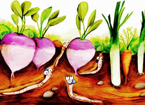 捕蚯蚓是什么时候违法的,捕捉蚯蚓犯法吗判多少年