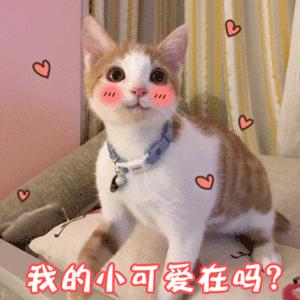 梦妆蜡笔口红黄黑皮显白,黑黄皮必入手的超显白口红