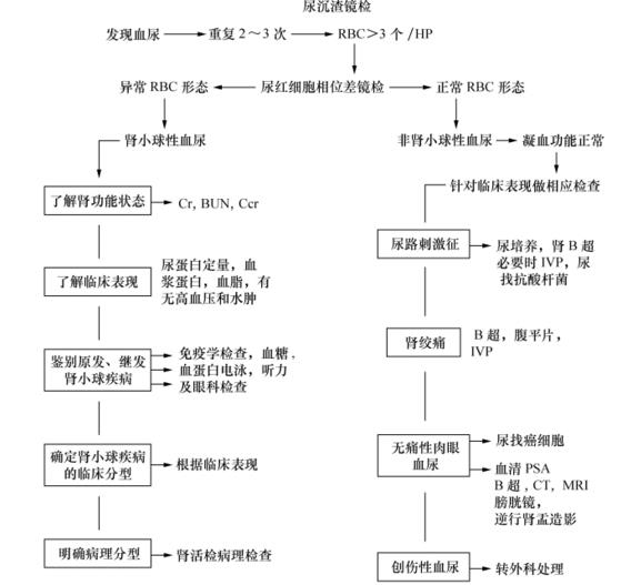 干货!血尿诊断思路