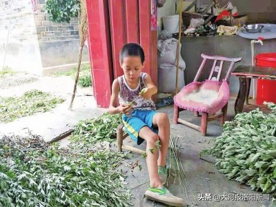 15岁少年给姐姐捐肾,河南20岁女孩肾衰竭