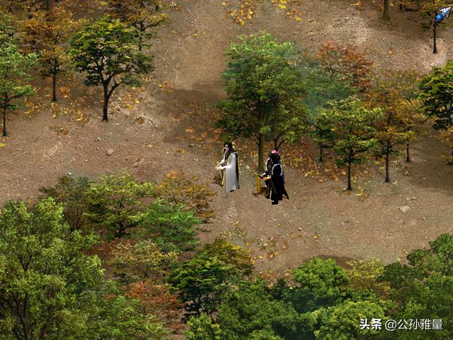 霹雳布袋戏单机游戏官方完整版,霹雳奇侠传rpg单机游戏