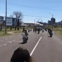 回家的路上看到这么多钱，背包都装不下啊，现在该怎么办