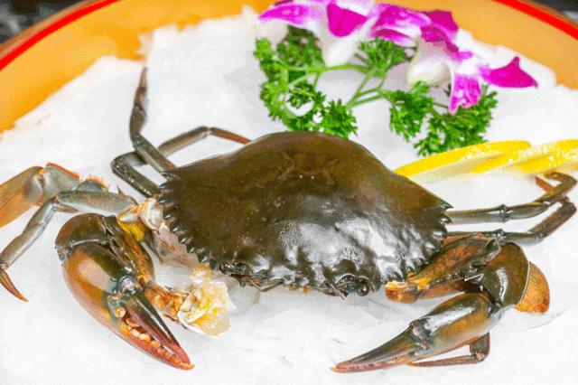 魔都惊现「2层楼小香港」，卖“蹦迪海鲜”！花胶鸡、6头鲍免费送