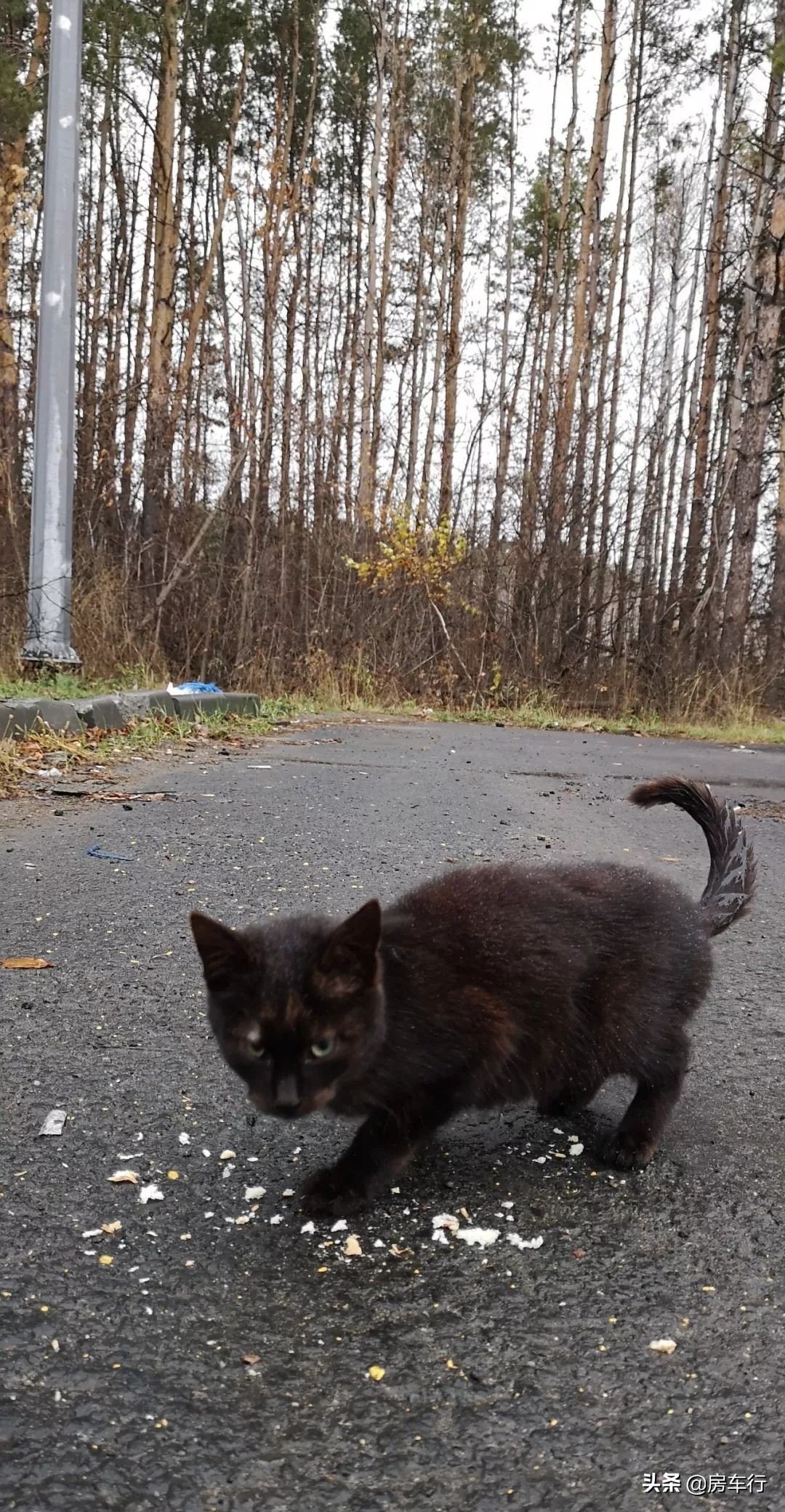 房车自驾游之环游世界,房车漫游记家在路上