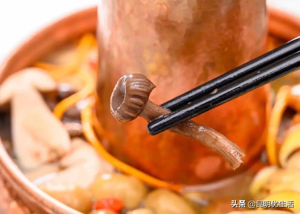 有特色的古滇美食,美食入滇记相关资讯