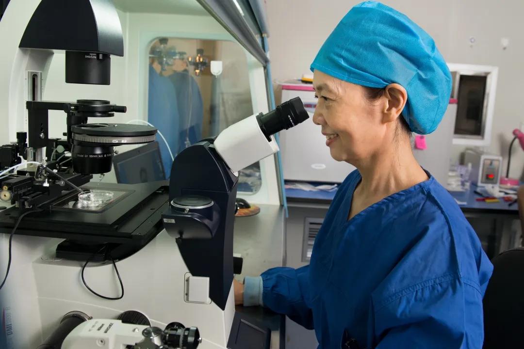 试管婴儿胚胎移植一次成功的几率,试管婴儿移植失败胚胎去哪里了