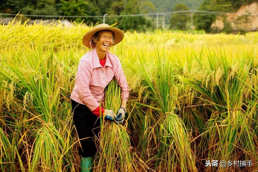 南粤古驿道拍摄后记,2018南粤古驿道展示