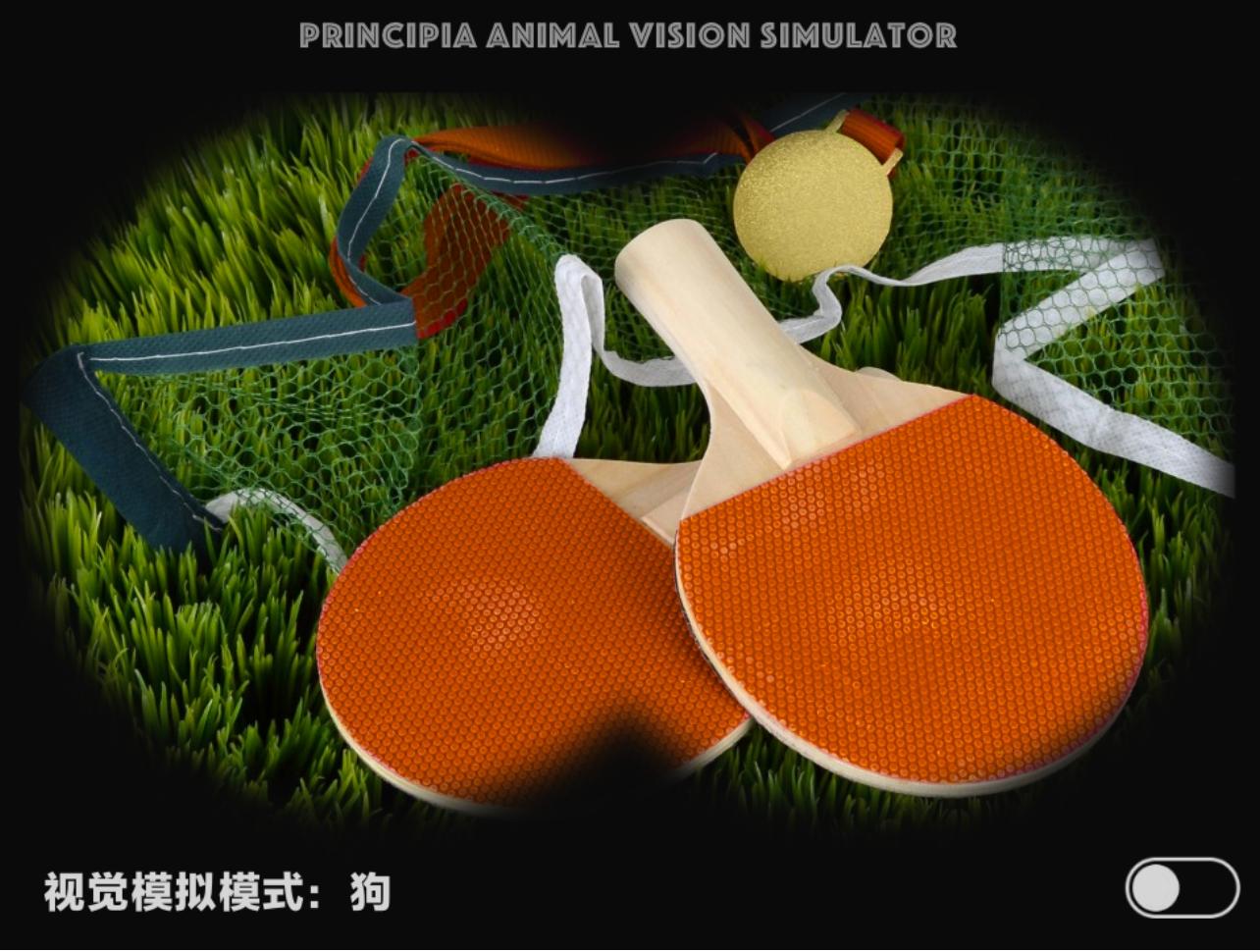 视觉软件exe,视觉模拟器