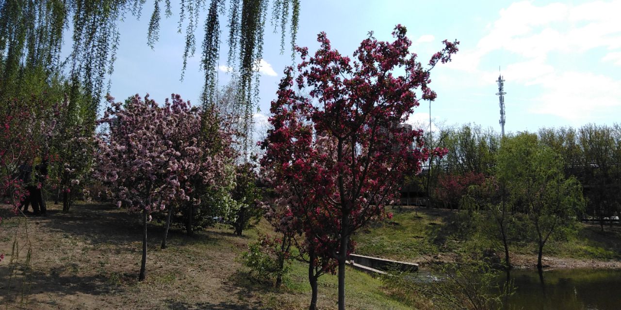 沈阳长白岛森林公园一日游攻略,长白岛森林公园五一