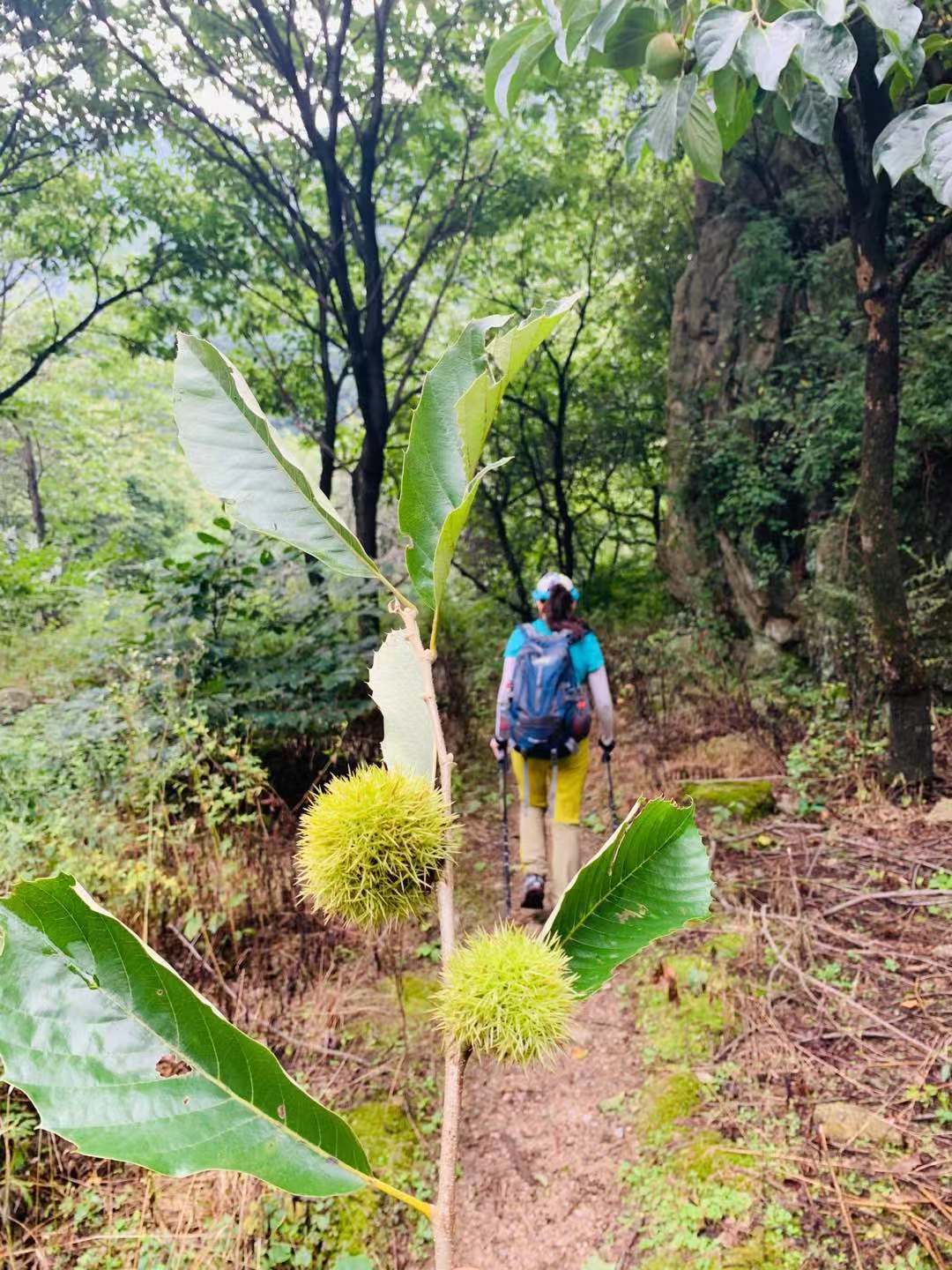 户外领队介绍路线,户外领队采访