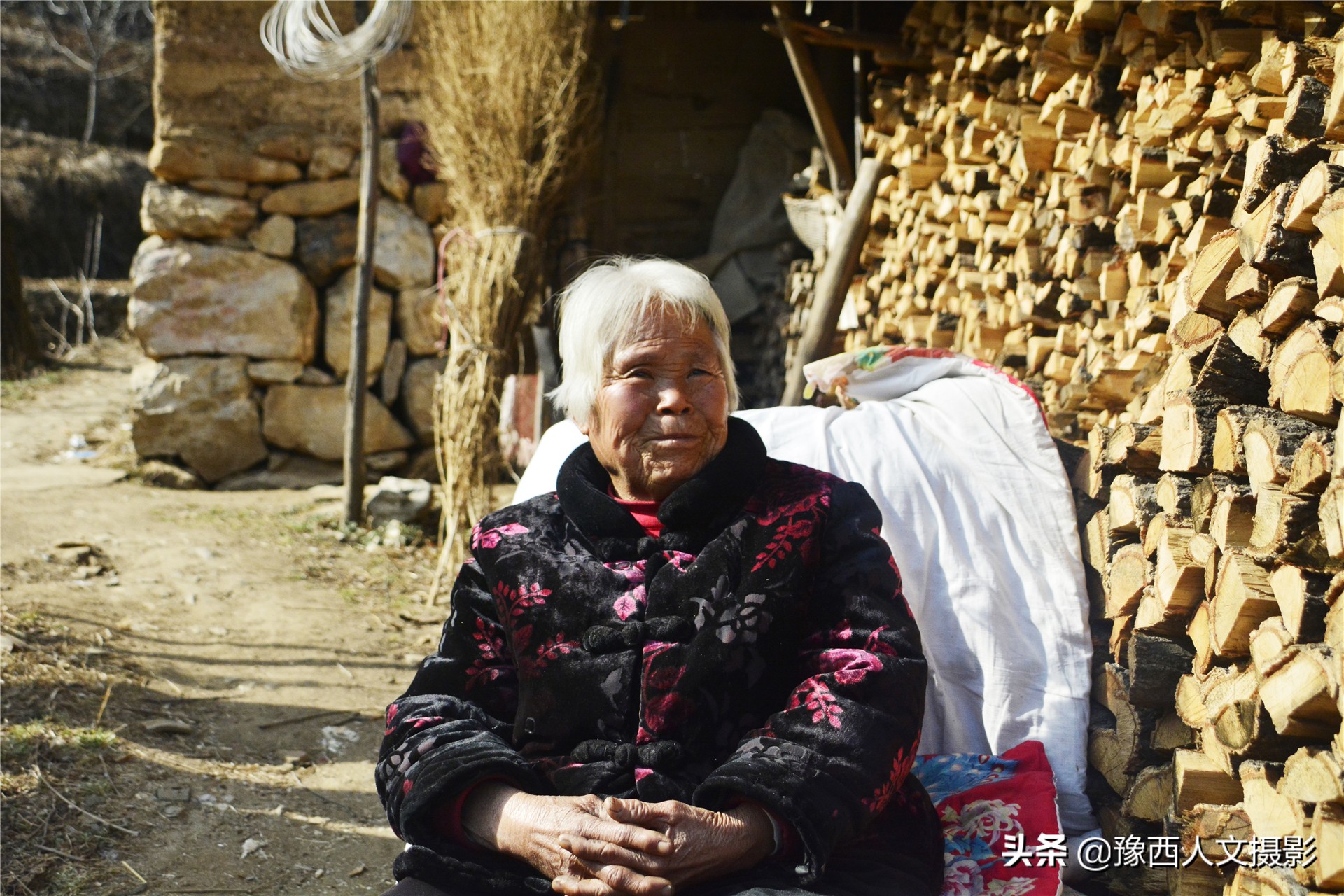 一百多年的老柿树才长这么大,碗口粗无核柿树图片