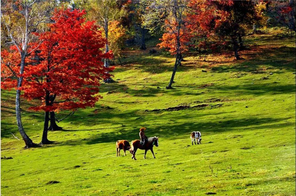 旅游景点畅玩团购,景点游玩优惠团购