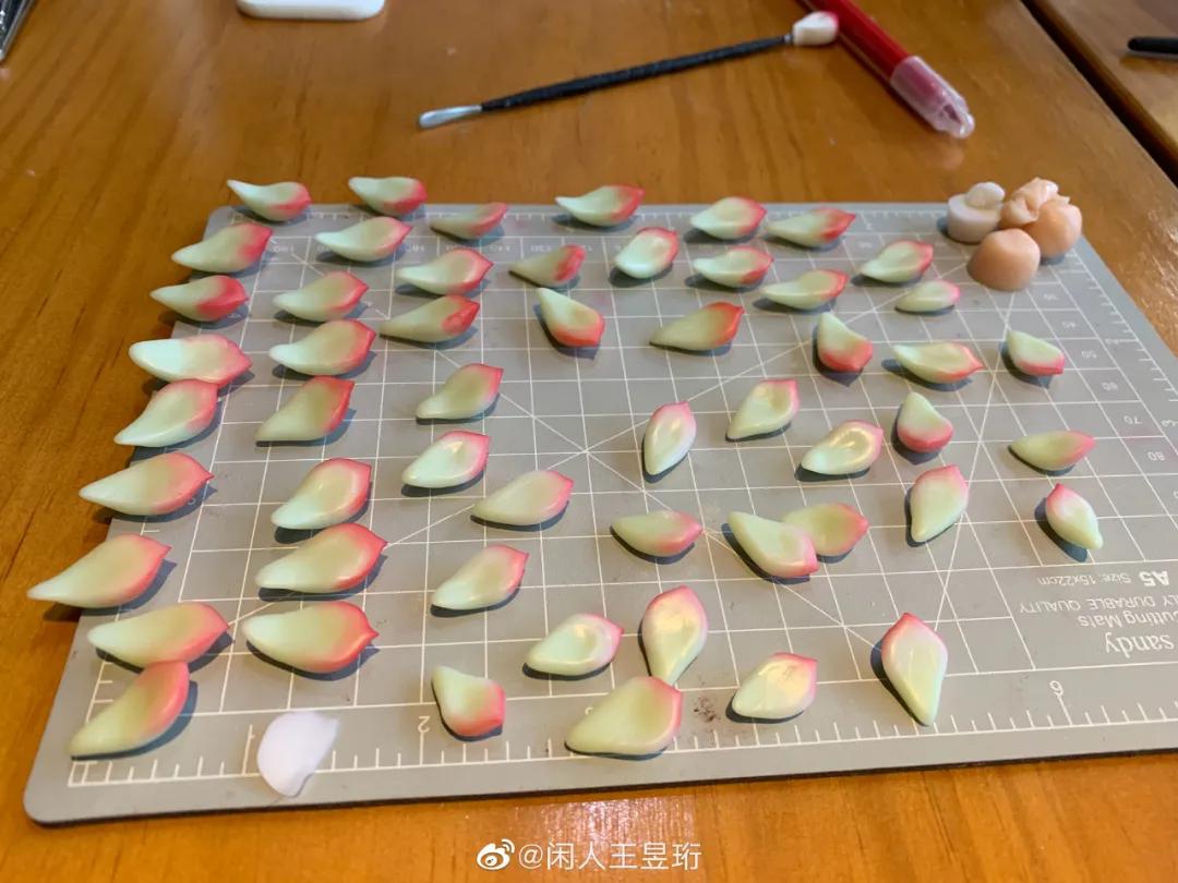 最强大脑王昱珩清华毕业后不上班,王昱珩上学经历