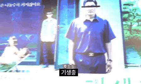 9.4分刷爆b站，弹幕全是哈哈哈，我用0.5倍速看了2遍