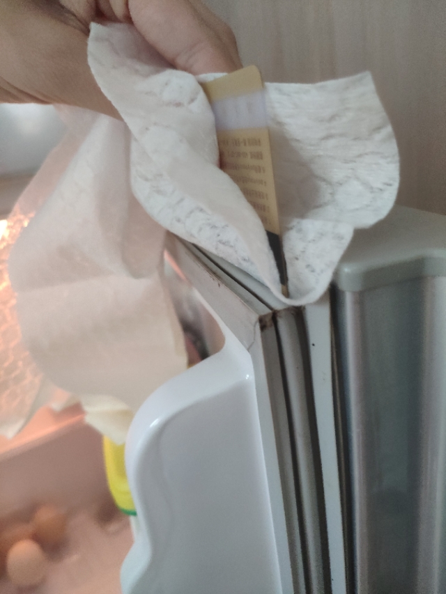 冰箱密封条发霉,冰箱密封条发霉解决方法