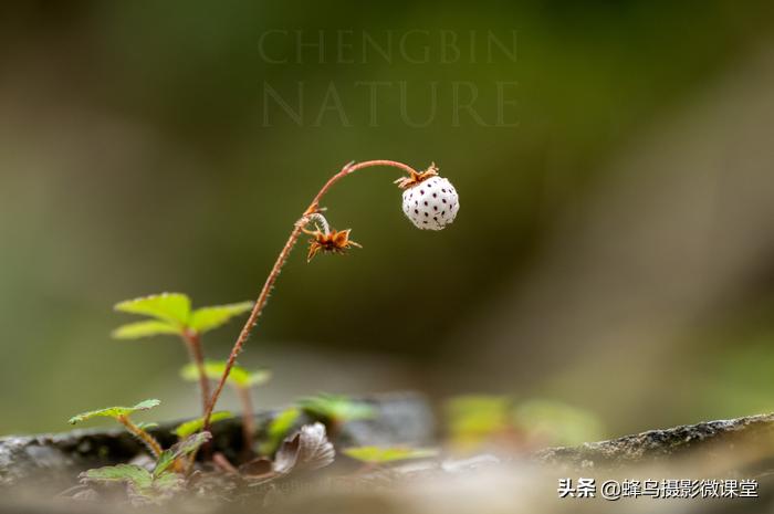松下全画幅微单s1评测,松下s1全画幅微单拍摄视频