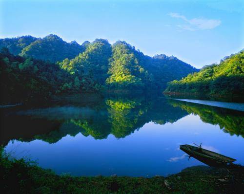 春天重庆区县景点,重庆网红景点区县