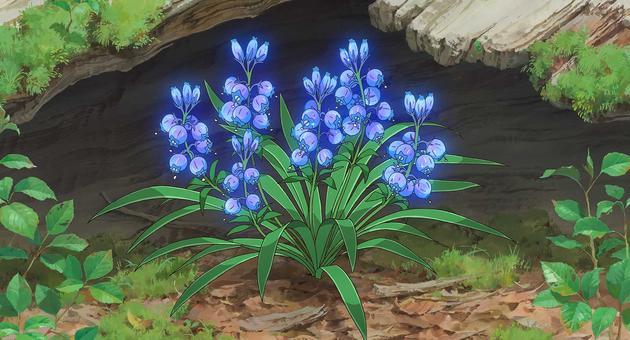 婆婆不满50岁就退休,婆婆不到60岁就开始颐养天年了