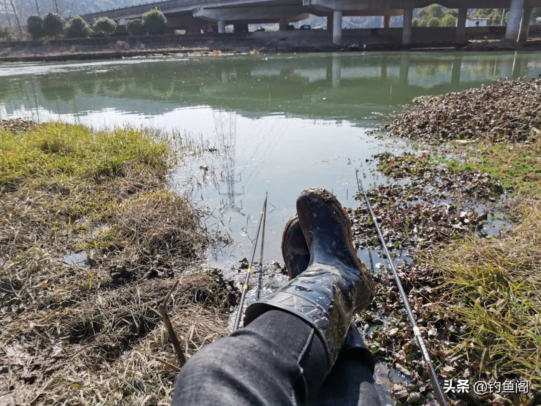 各种钓鱼打窝方式,十种打窝方式视频