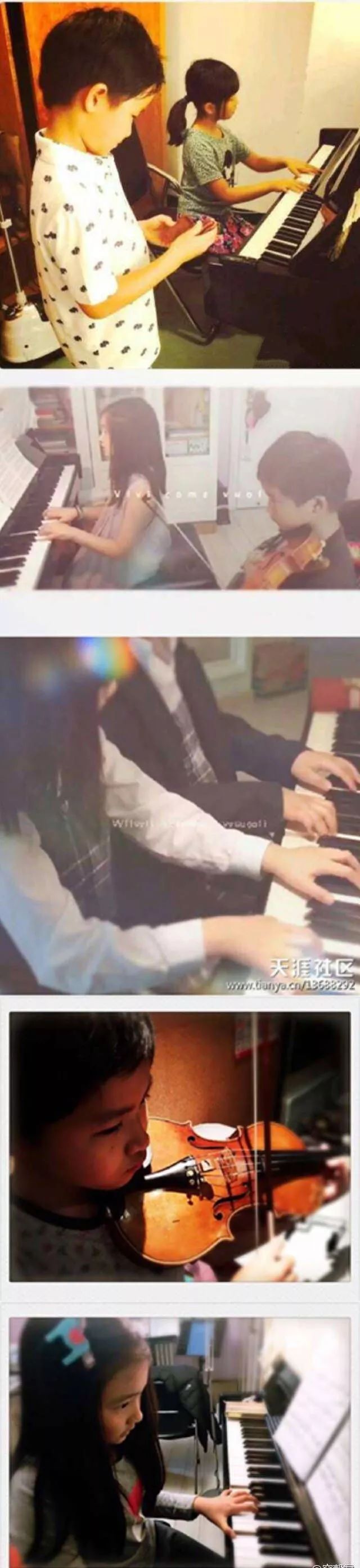 费曼森碟,费曼娱乐圈