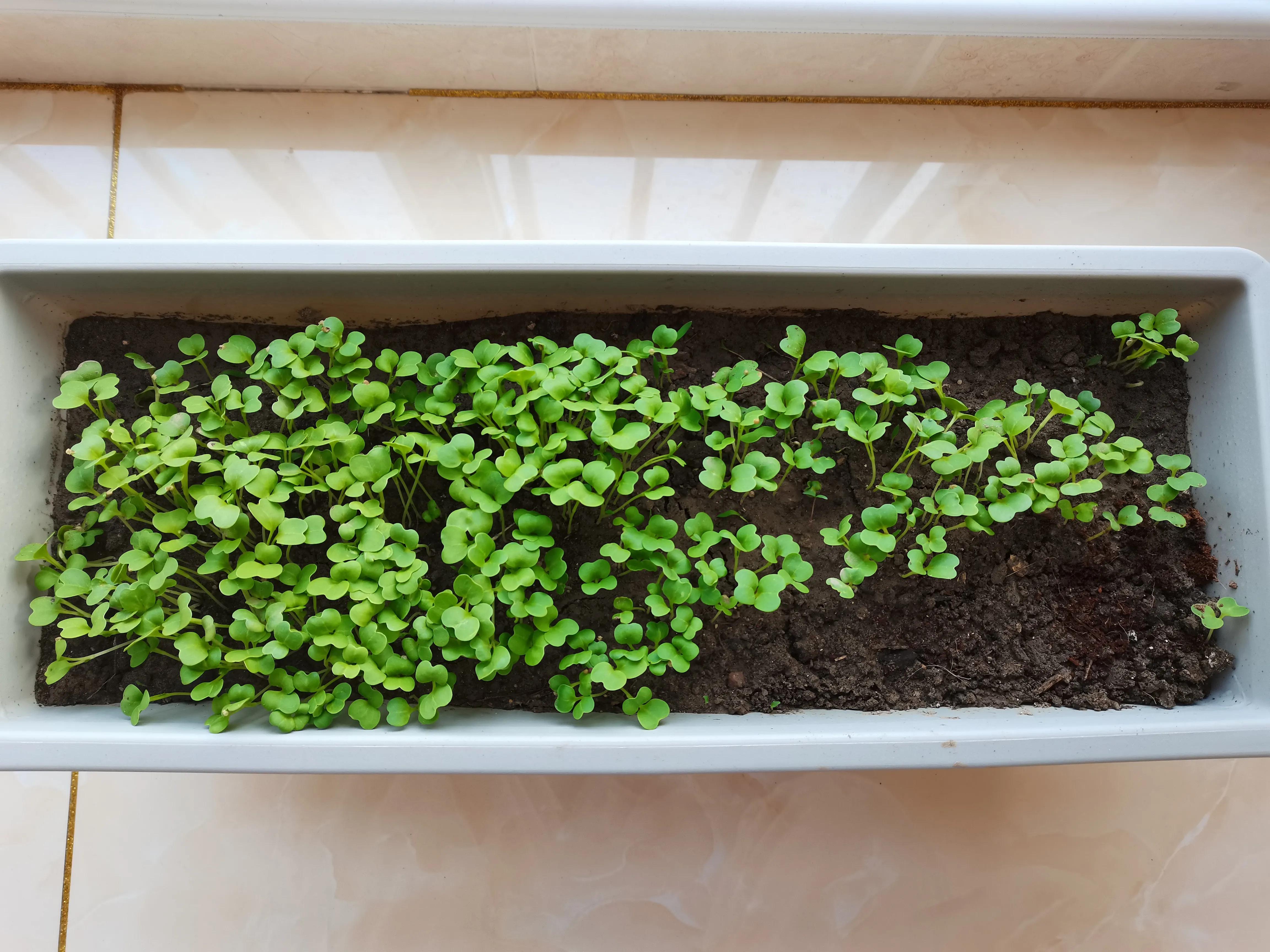 不要放弃农村的宅基地,不要放弃自己的农村宅基地