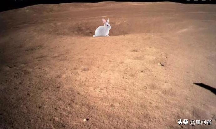 嫦娥四号传回月球背后全景图片,嫦娥四号月球背面画面奥秘