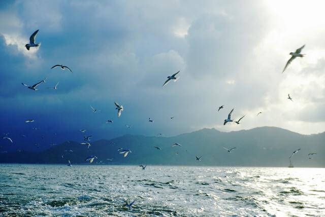 疫情好了出去旅游,疫情好了去旅行