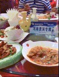 这两位大哥真牛，不知这树还能让他们爽多久