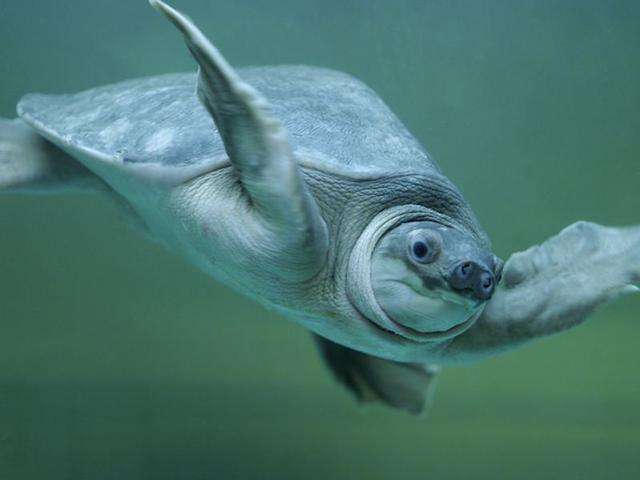 有这6个症状的人要注意啦,拥有6个特征说明你很健康