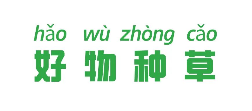 今年的春鞋最流行有哪些款,8双经典又百搭的春鞋