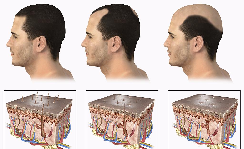 红枣这样搭配营养会翻倍,红枣与其他食物搭配的功效