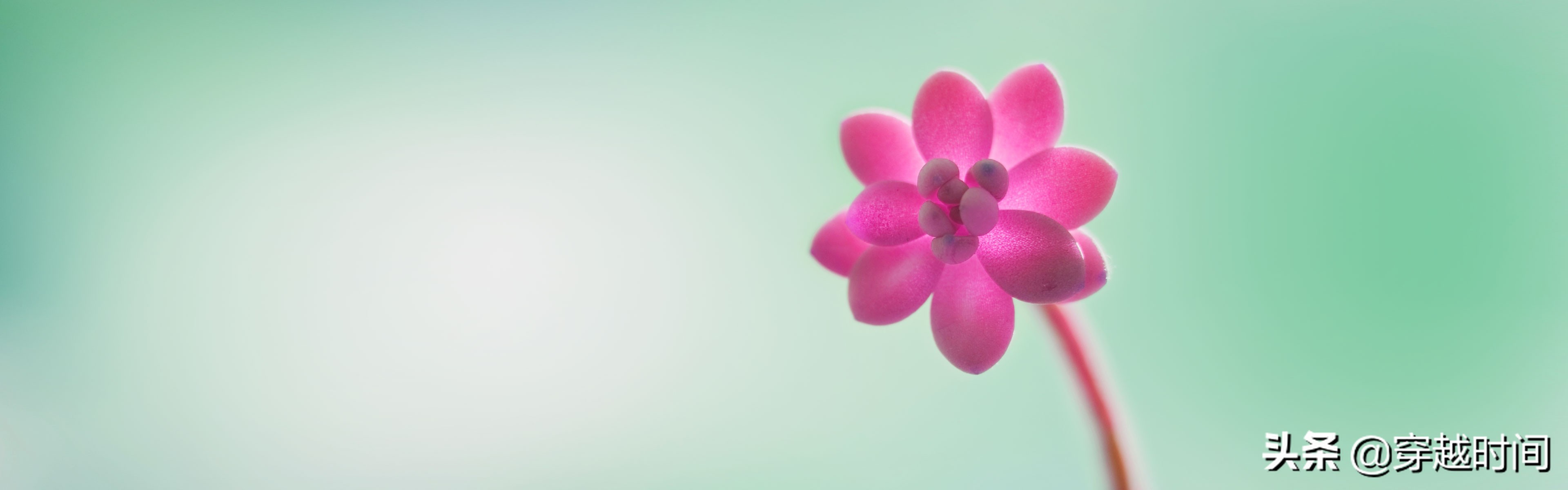 Windows8.1系统中的全部原装壁纸，你用过几张？