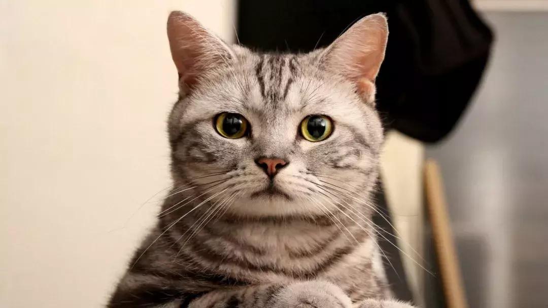 春节回家必经的隧道，不看本文我完全认不出！